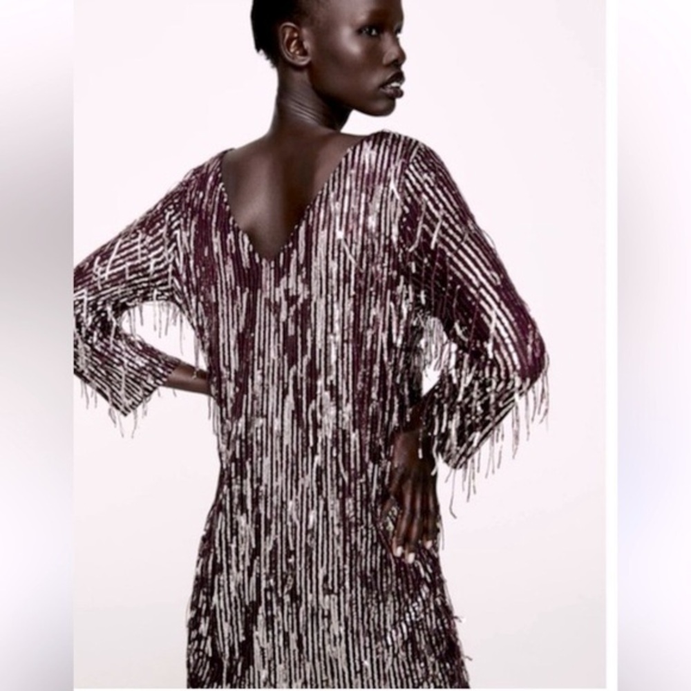 🎭🥑Zara Fringe Burgundy Sequin Fringe Mini Dress Small